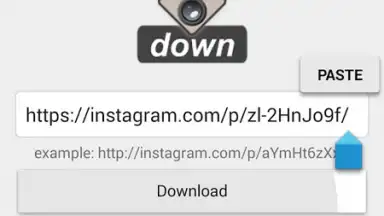 Screenshot von Video Downloader for Instagram 4