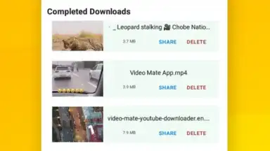 Screenshot von Vidora YouTube Downloader | free & fast 12