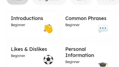 Screenshot von Pingo AI 4