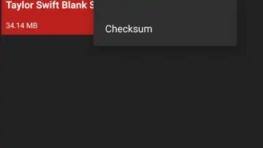 Screenshot von YouTube Video Mp3 Downloader 11