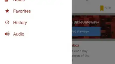 Screenshot von Bible Gateway 10