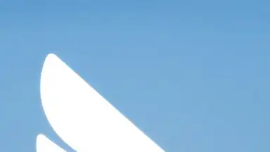 Screenshot von DingTalk 1