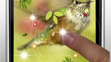 Screenshot von Colibri Spring 3D LWP 1