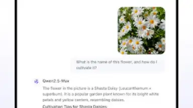 Screenshot von Qwen Chat 3