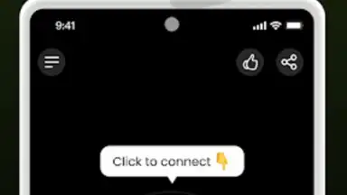 Screenshot von Bear VPN 4