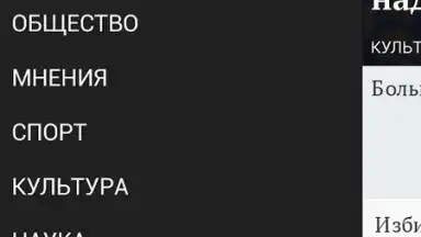 Screenshot von Газета.Ru 3