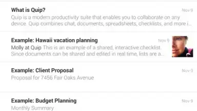 Screenshot von Quip 5