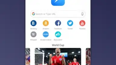 Screenshot von Mini Private Browser: Fast Search, Download, No Ad 4