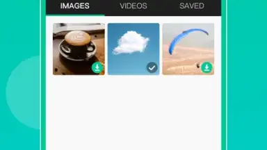 Screenshot von WAStatusGrabD 4