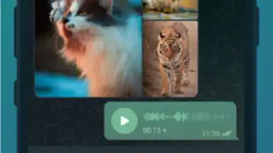 Screenshot von TG Connect 4