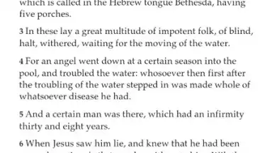 Screenshot von Biblioteca del Evangelio 7