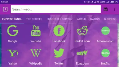 Screenshot von usa web browser 1