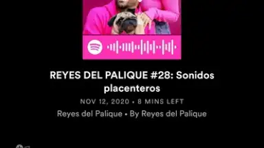 Screenshot von Spotify 18