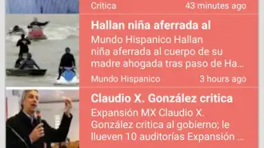 Screenshot von Light Browser 10
