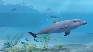 Screenshot von Sharks VR 1