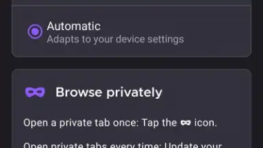 Screenshot von Iceraven Browser 4