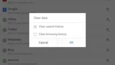 Screenshot von Mola Browser 6