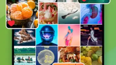 Screenshot von Gallery 14