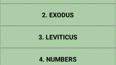 Screenshot von The bible quiz game 4