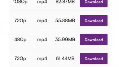 Screenshot von YT Video Downloader 1