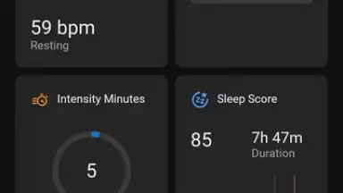 Screenshot von Garmin Connect 3