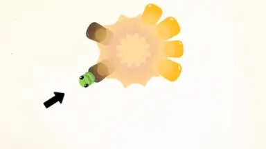 Screenshot von Pigeon Pop 15