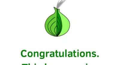Screenshot von Orfox: Tor Browser 10
