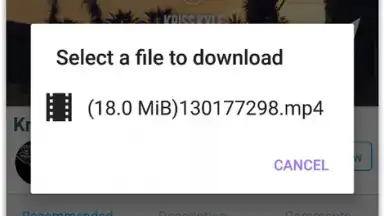 Screenshot von VIP Video downloader 4