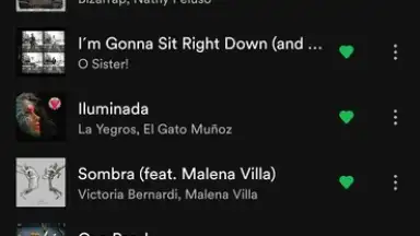 Screenshot von Spotify 17