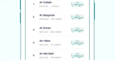 Screenshot von The Holy Quran - English 4