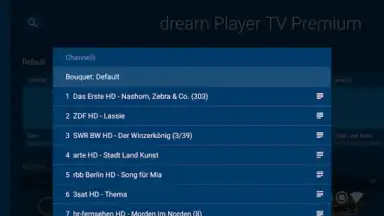 Screenshot von dream Player IPTV for Android TV 4
