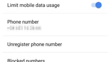 Screenshot von Google Meet 3
