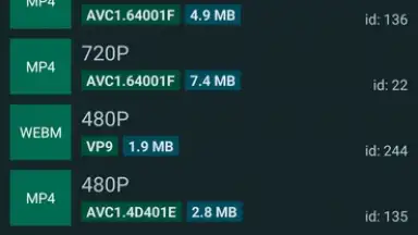 Screenshot von YTDLnis 7