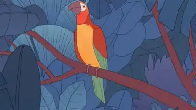 Screenshot von Bird Alone 6