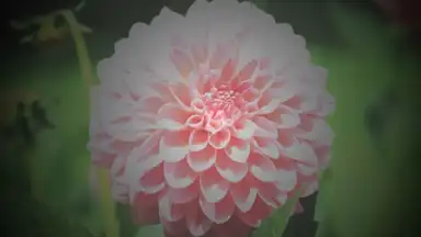 Screenshot von After Effect 7