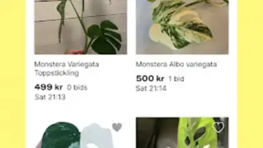 Screenshot von Tradera 4