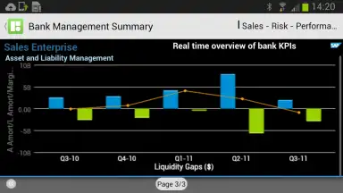 Screenshot von SAP BI 8