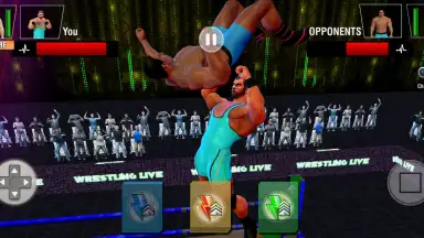 Screenshot von Tag Team Wrestling Games: Mega Cage Ring Fighting 4