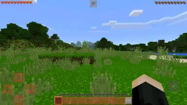 Screenshot von King Craft 1