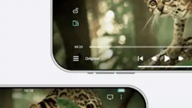 Screenshot von VidHub 6