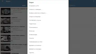 Screenshot von Video App for VK 13