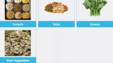 Screenshot von Food Dictionary 14