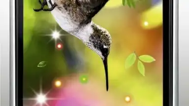 Screenshot von Colibri Spring 3D LWP 3
