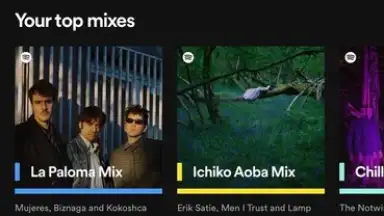 Screenshot von Spotify 11