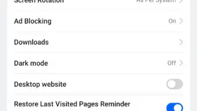 Screenshot von Internet Browser 6