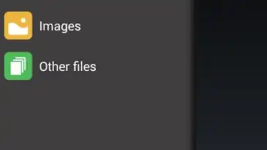 Screenshot von GetThemAll Any File Downloader 1
