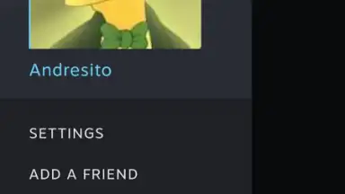 Screenshot von Steam Chat 6