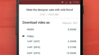 Screenshot von InsTube YouTube Downloader 4
