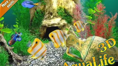 Screenshot von AquaLife 3D 8
