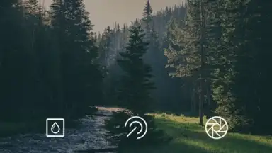 Screenshot von ToolWiz Photos 8